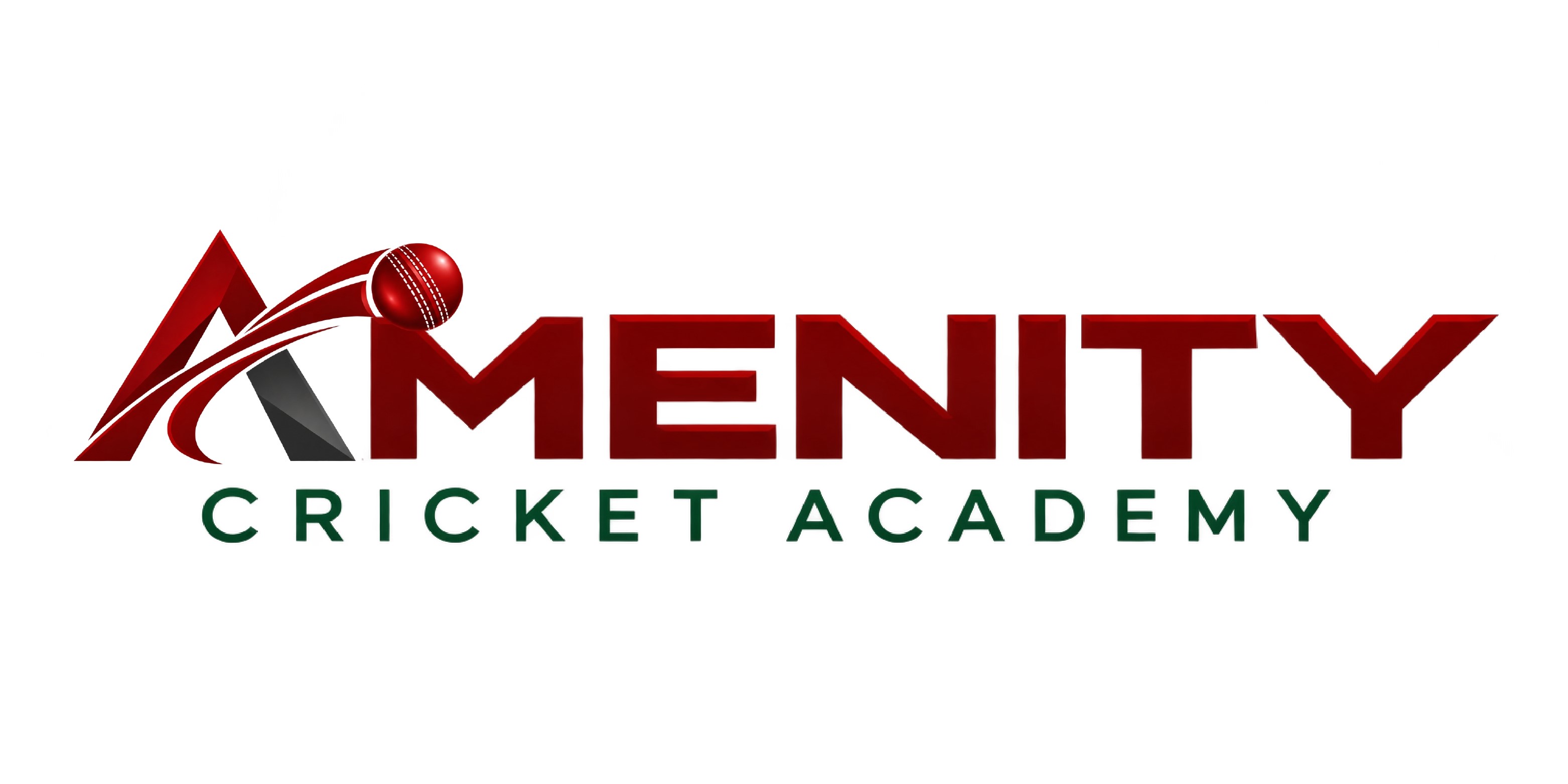 Amenity Cricket Academy