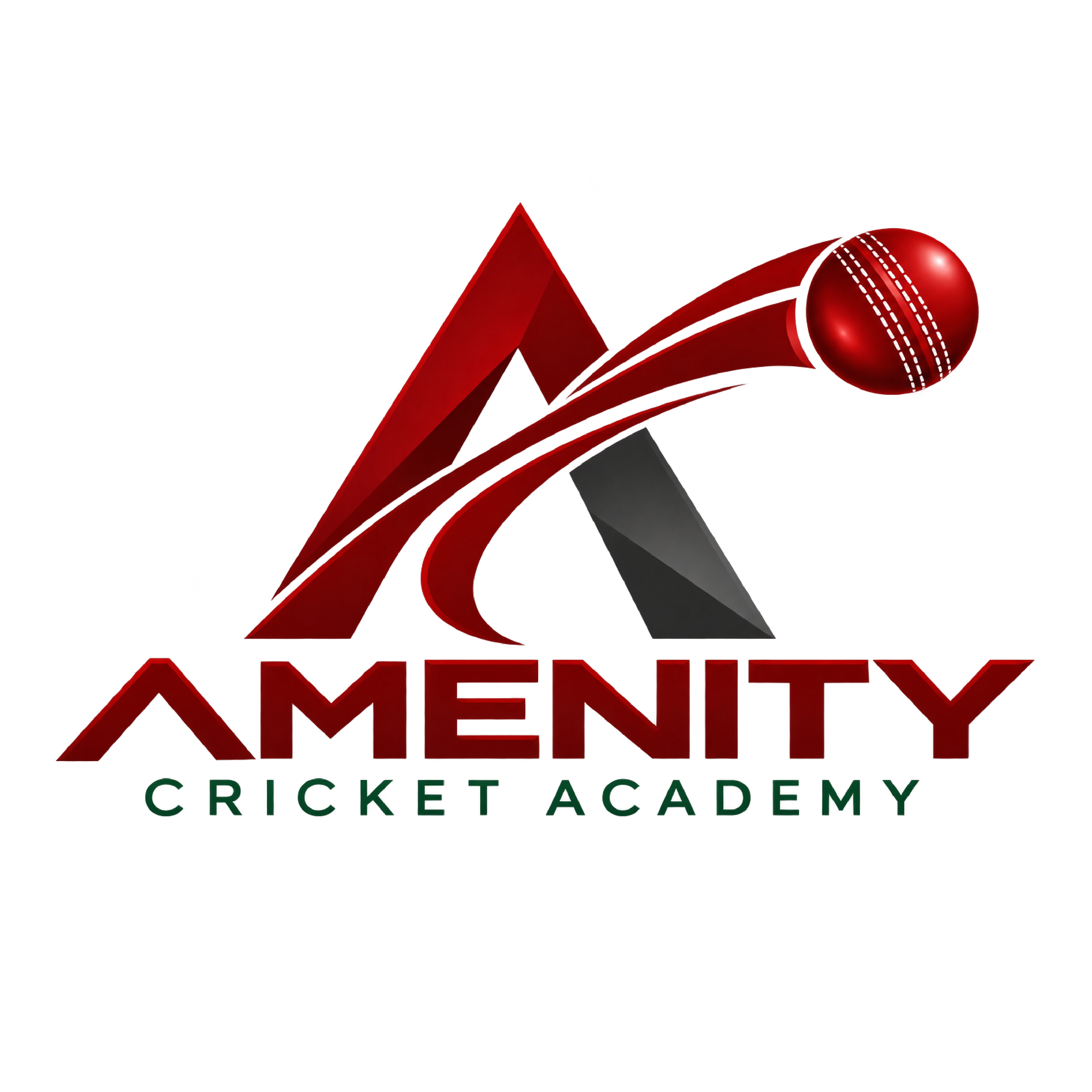 Amenity Cricket Academy