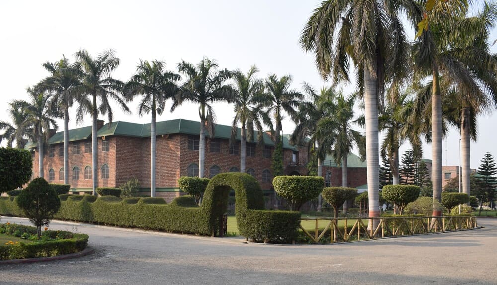 Corebtt International Football School