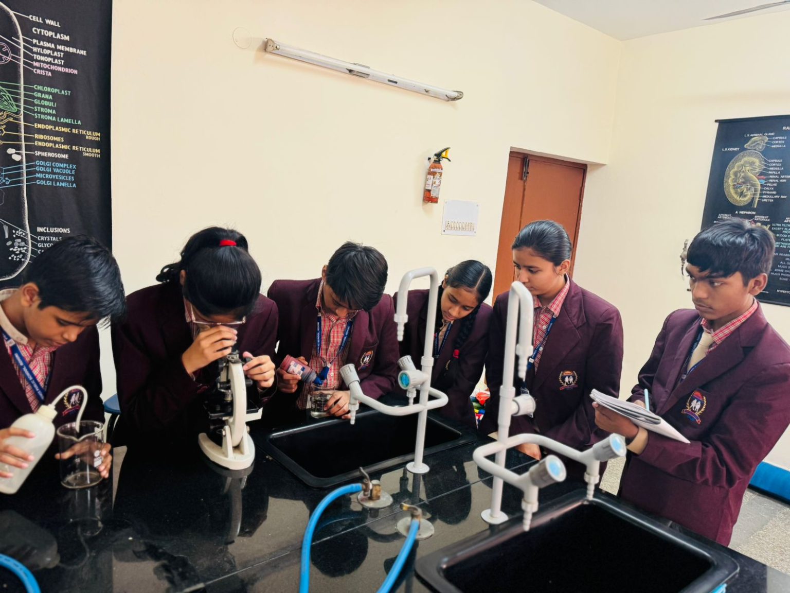 Best School in Rohini, Delhi