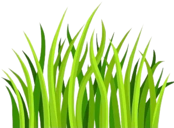 Best School in Rohini, Delhi