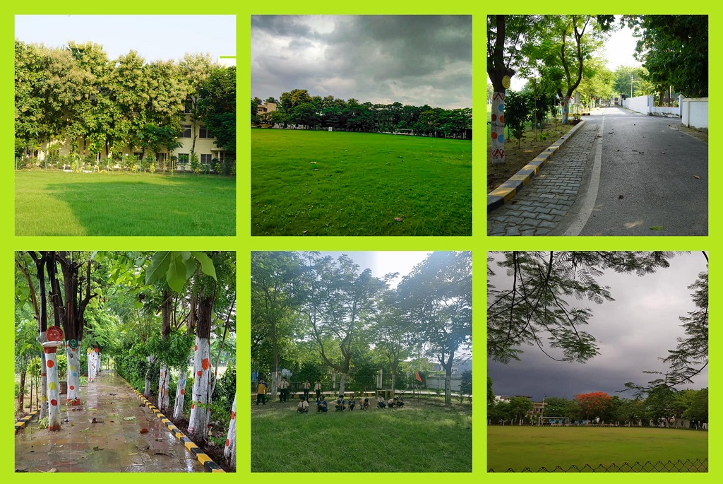 GREENSERENE