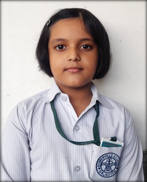 Somerville School - Best School In Greater Noida