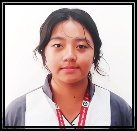 Somerville School - Best School In Greater Noida