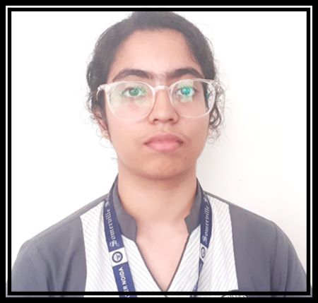Somerville School - Best School In Greater Noida