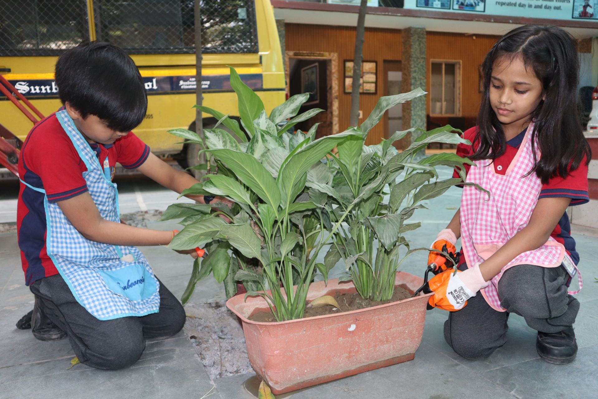 Sunbeam CBSE School, Varanasi