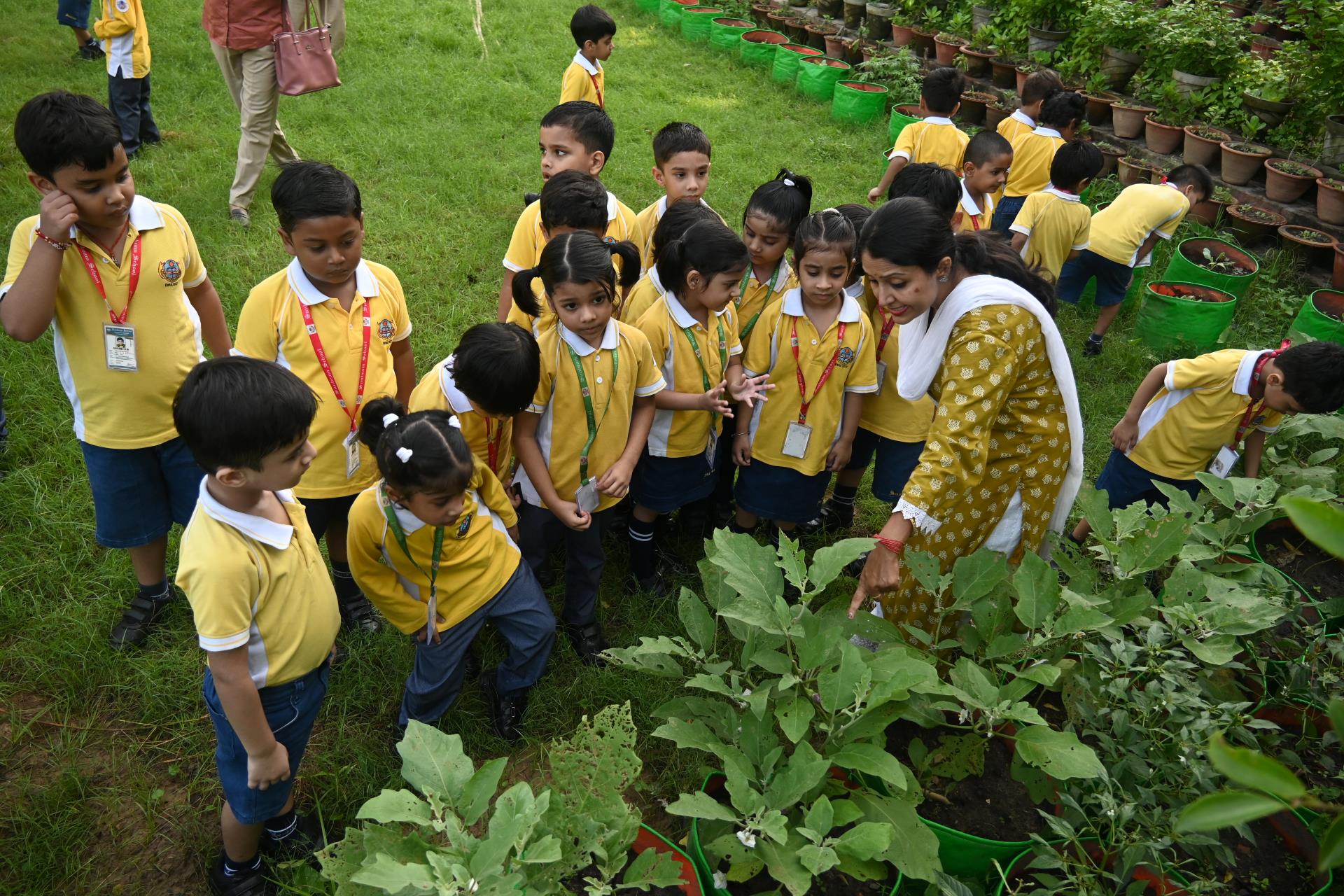 Sunbeam CBSE School, Varanasi