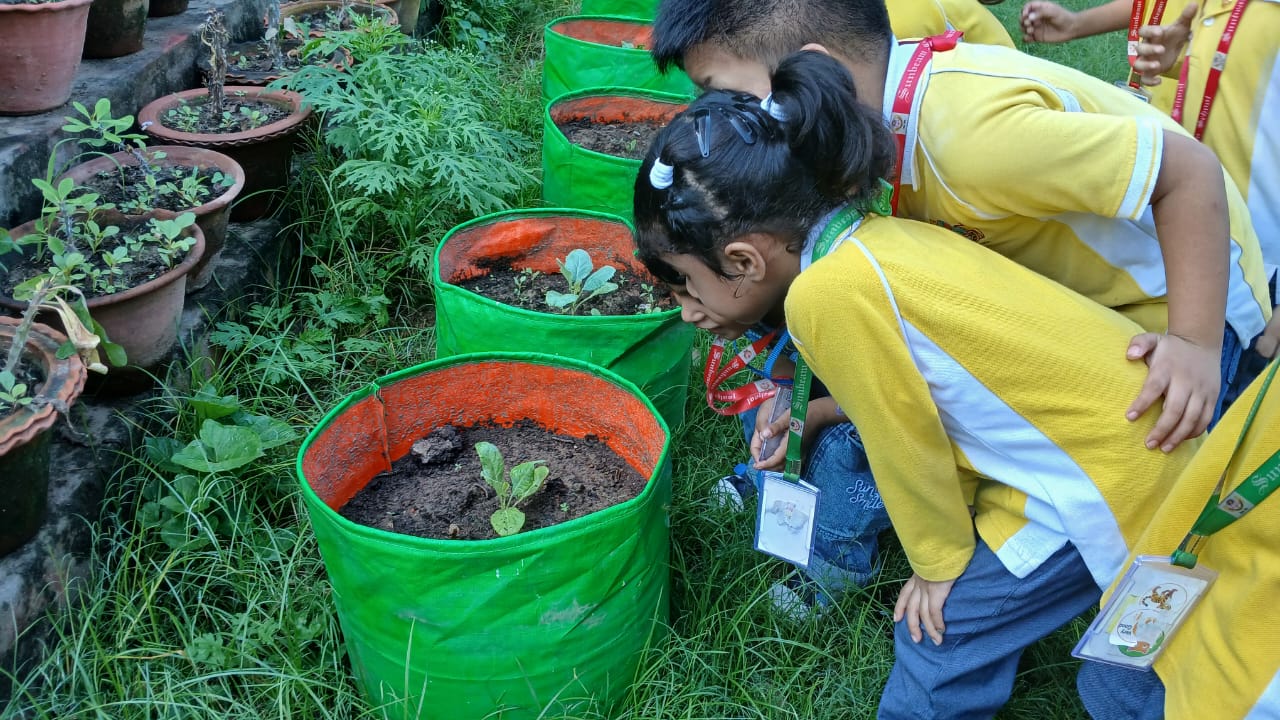 Best School in Sarnath