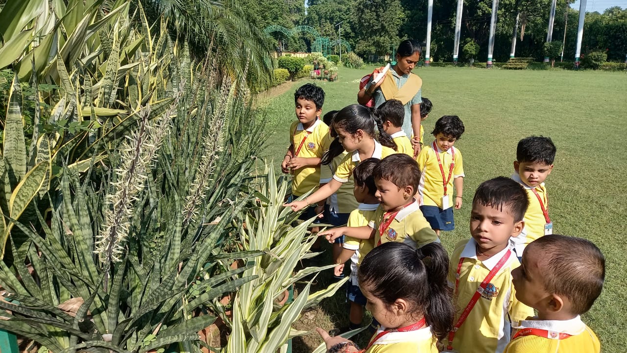 Best School in Sarnath