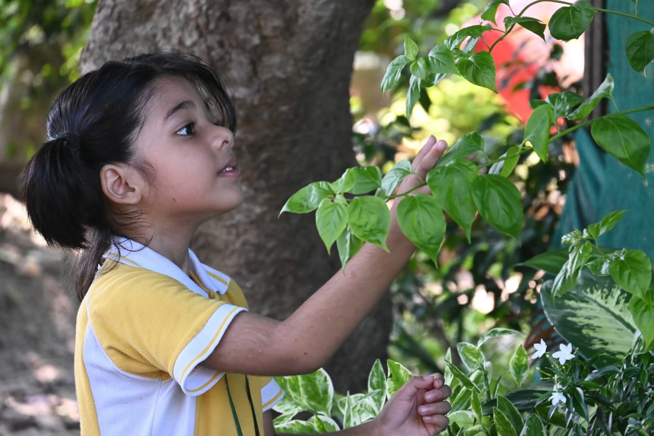 Best School in Sarnath