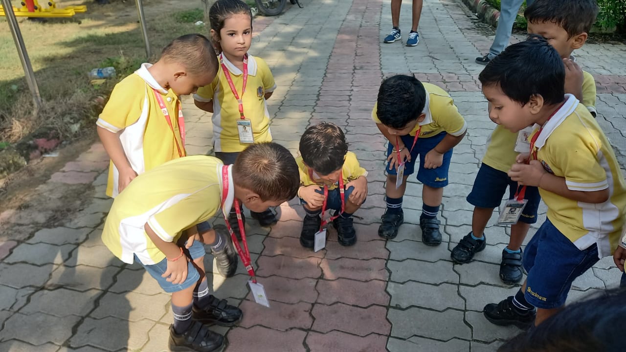 Best School in Sarnath