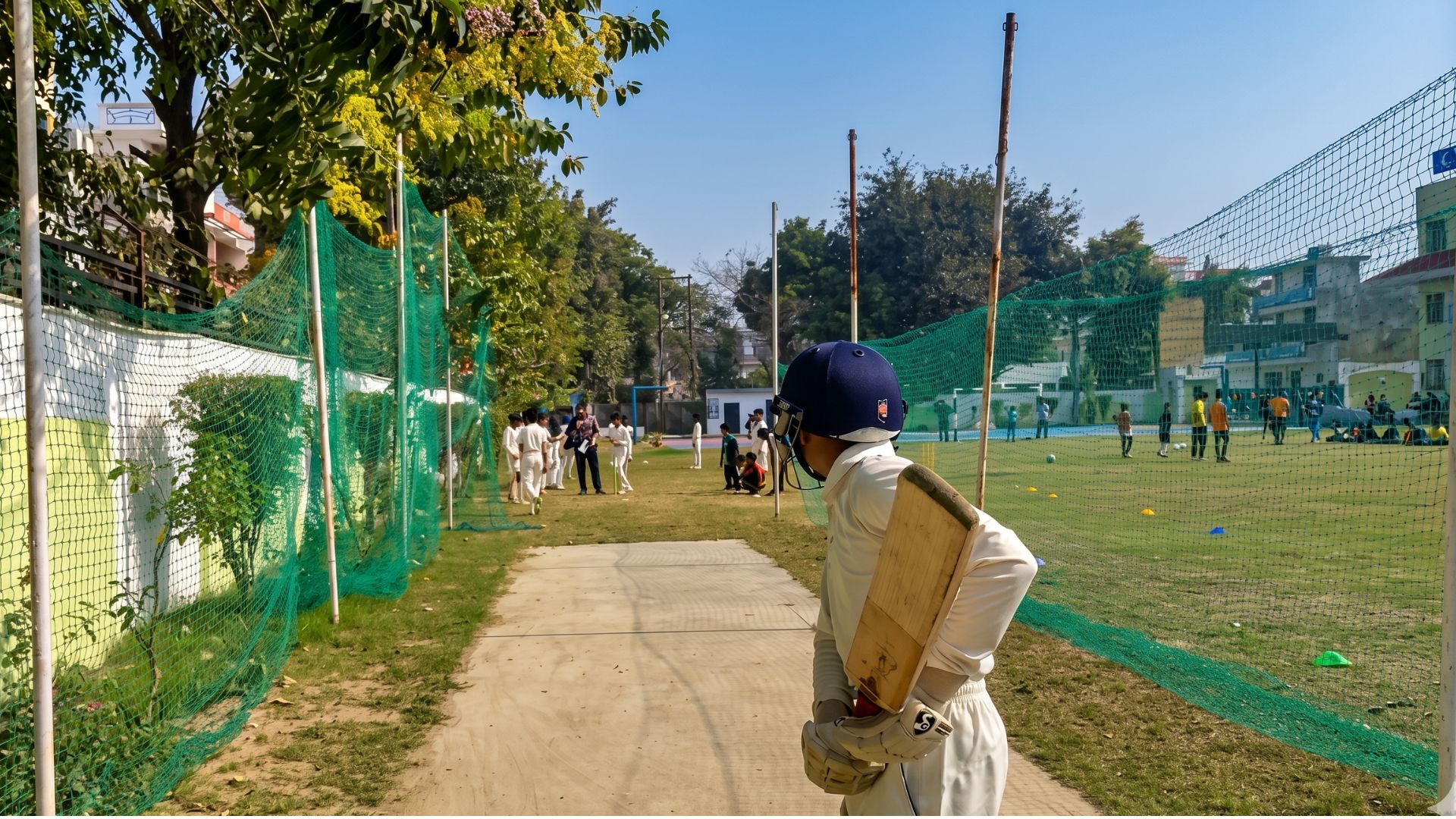 Cricket