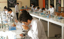 Delhi Public School Rudrapur